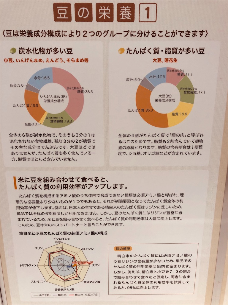 f:id:ki-kochan:20191019004231j:image