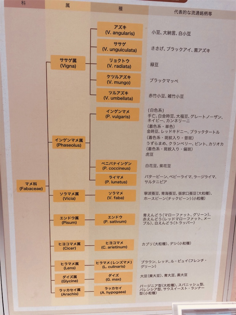 f:id:ki-kochan:20191019004305j:image