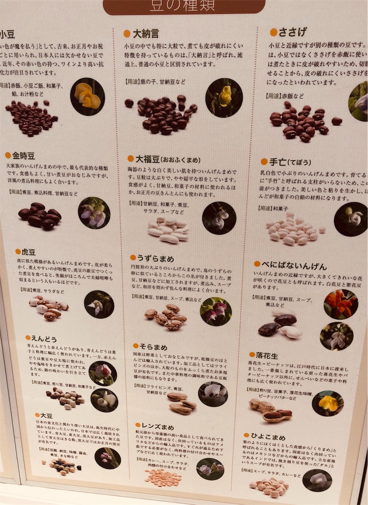 f:id:ki-kochan:20191019004307j:image