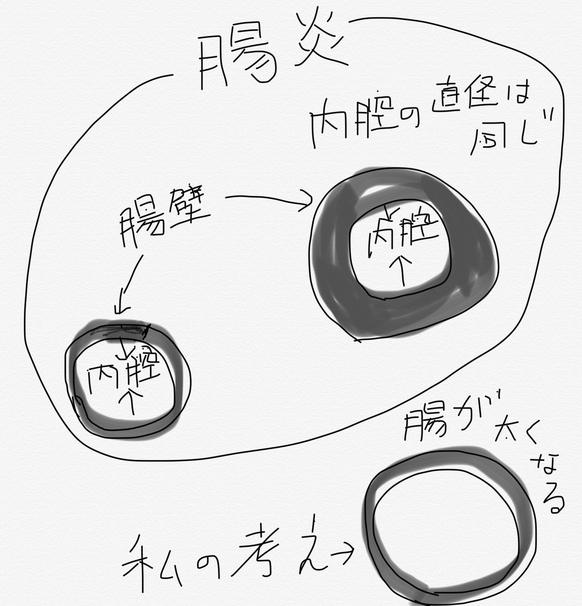 f:id:ki-kochan:20191023192043j:plain f:id:ki-kochan:20191023192043j:plain