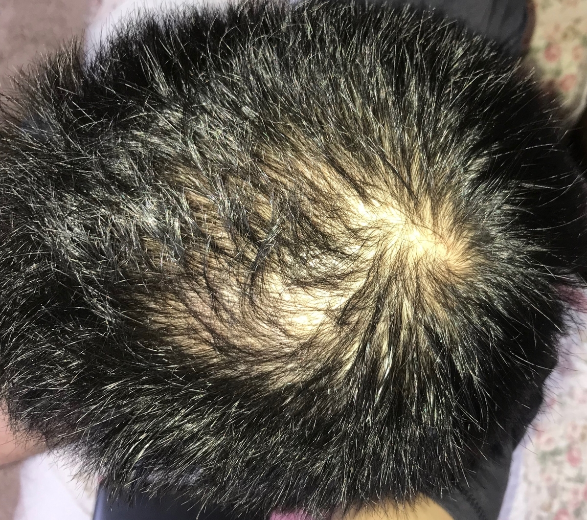 f:id:ki-so-sa:20190606160130j:plain