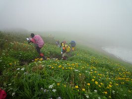 f:id:ki1547m:20180515162506j:plain