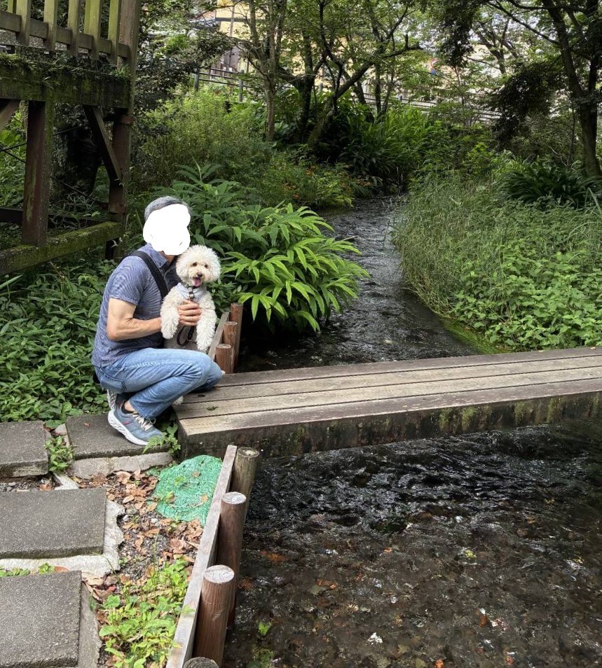 f:id:ki1823:20260706081704j:image
