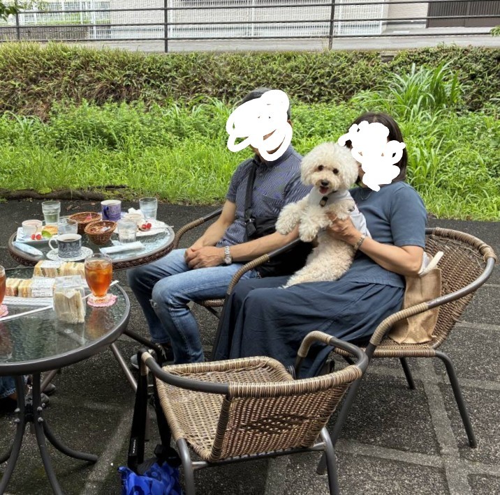 f:id:ki1823:20260707084518j:image