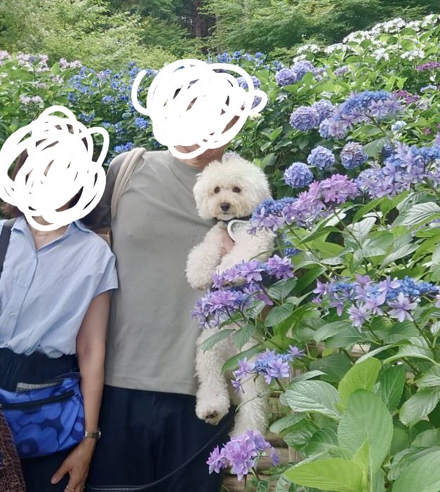 f:id:ki1823:20260708212507j:image