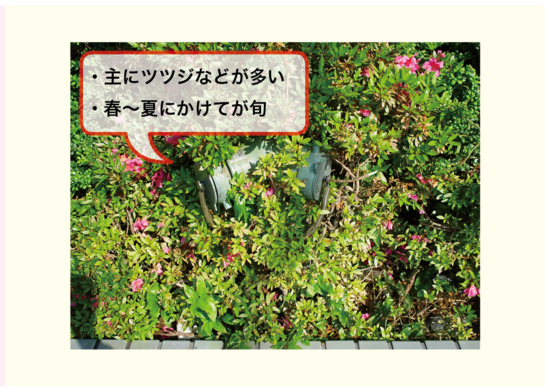 f:id:ki_mu_chi:20140906130051j:image:w480 f:id:ki_mu_chi:20140906130051j:image:w480