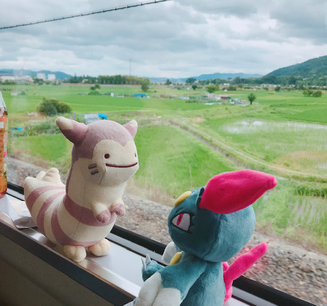 f:id:ki_wa_tashika:20190711145845j:plain