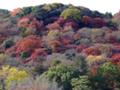 [風景]嵐山。色が浅いのは遠景だかと思われ。