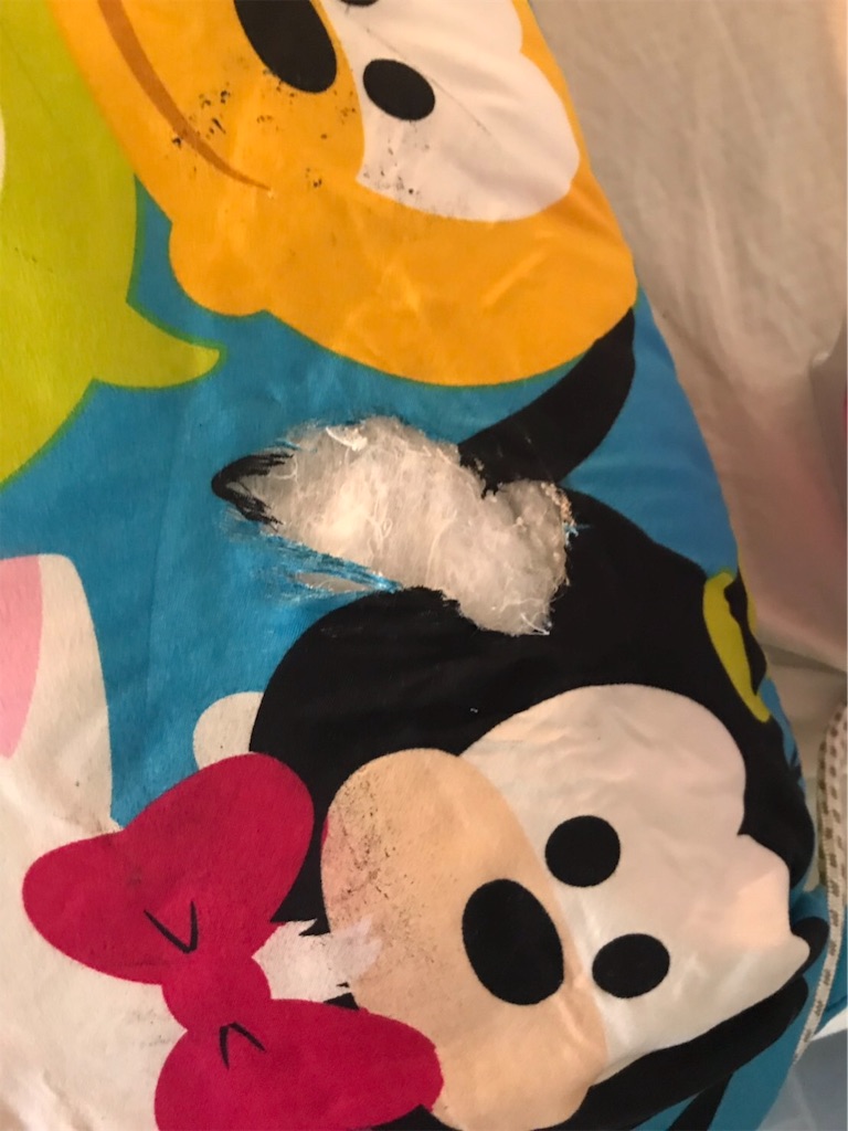 f:id:kiaoramk:20190925094314j:image