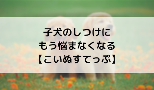 f:id:kib3000:20190814224934p:image