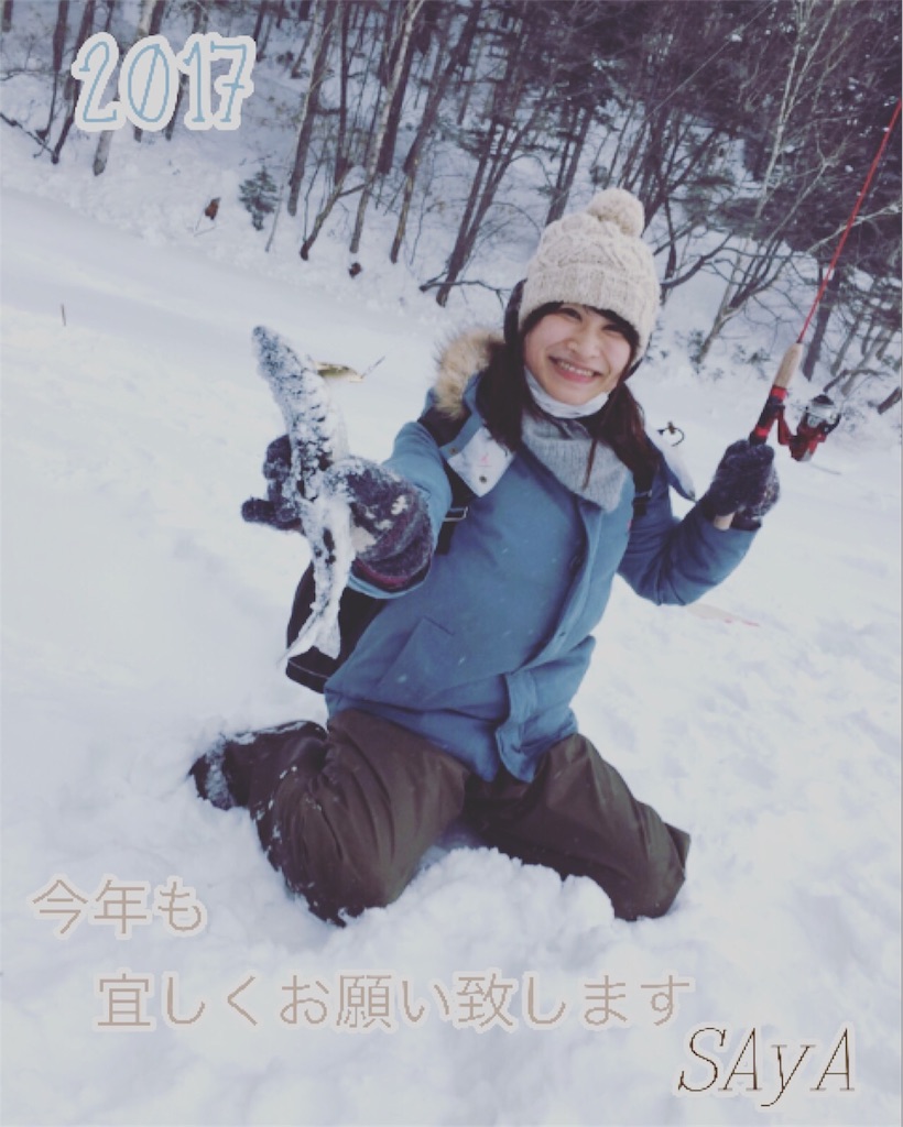 f:id:kibacosaya:20170102005915j:image f:id:kibacosaya:20170102005915j:image
