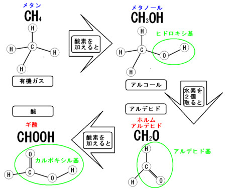 f:id:kibashiri:20120520220511j:image:w640