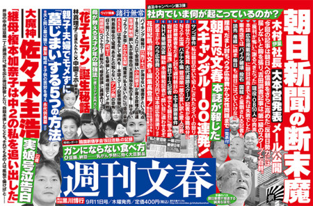 f:id:kibashiri:20140905100535j:image:w640