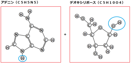 f:id:kibashiri:20150611142743p:image