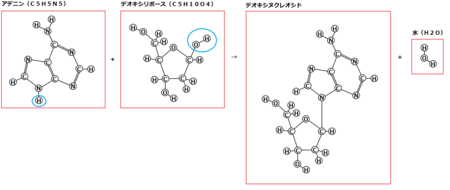 f:id:kibashiri:20150611142946p:image:w640