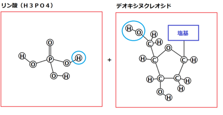 f:id:kibashiri:20150611143256p:image