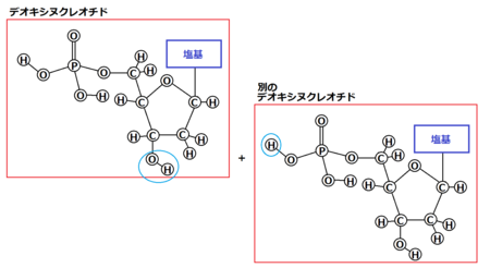 f:id:kibashiri:20150611143551p:image