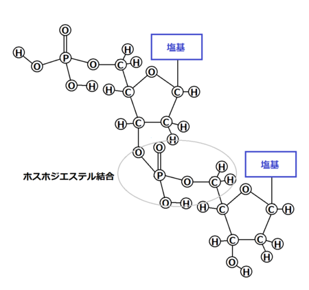 f:id:kibashiri:20150611143704p:image