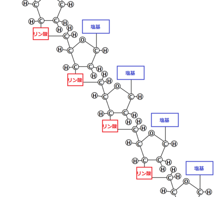 f:id:kibashiri:20150611143917p:image