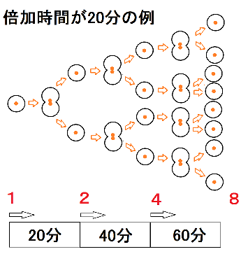 f:id:kibashiri:20200409111637p:plain
