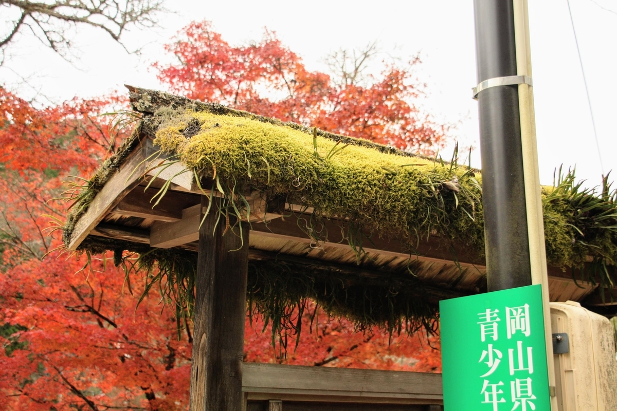 f:id:kibi6:20200613021339j:plain f:id:kibi6:20200613021339j:plain