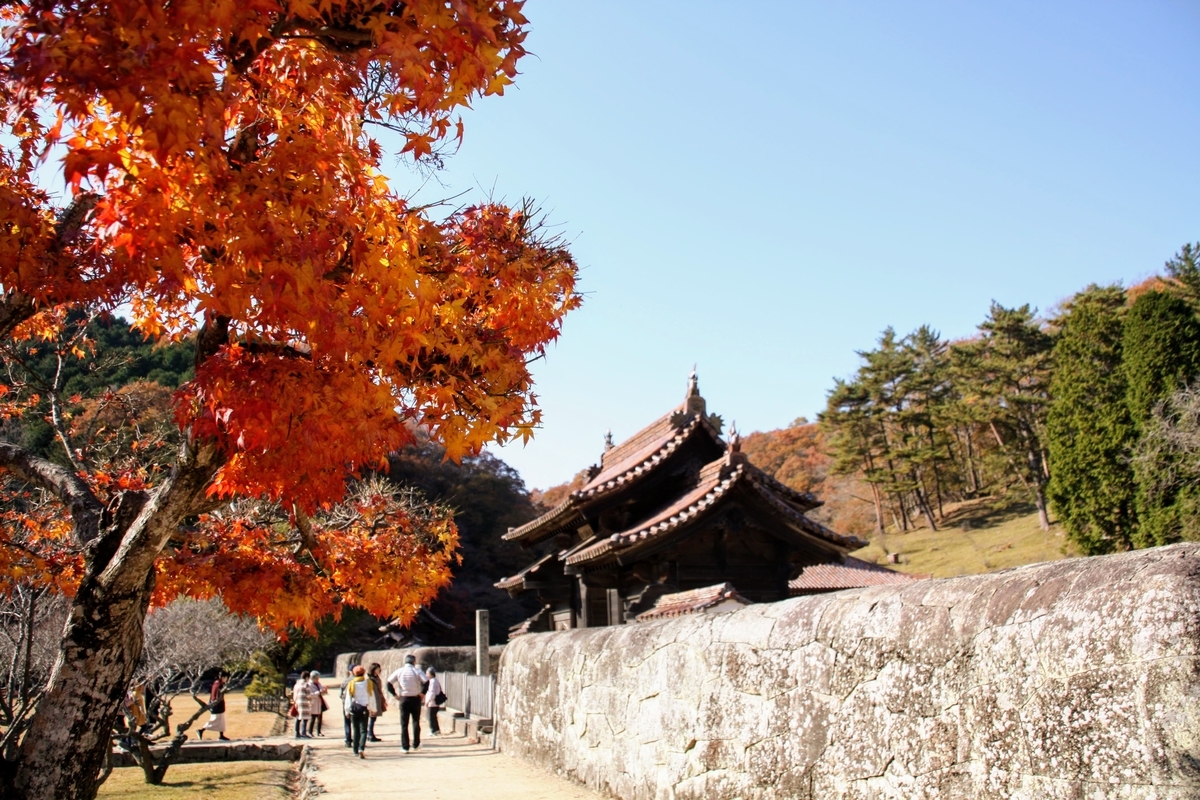 f:id:kibi6:20200613021733j:plain f:id:kibi6:20200613021733j:plain