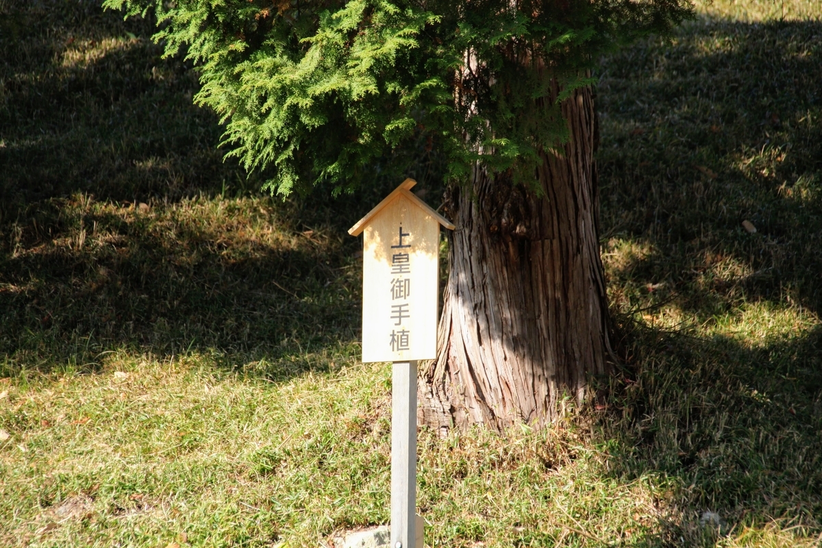 f:id:kibi6:20200613022635j:plain f:id:kibi6:20200613022635j:plain