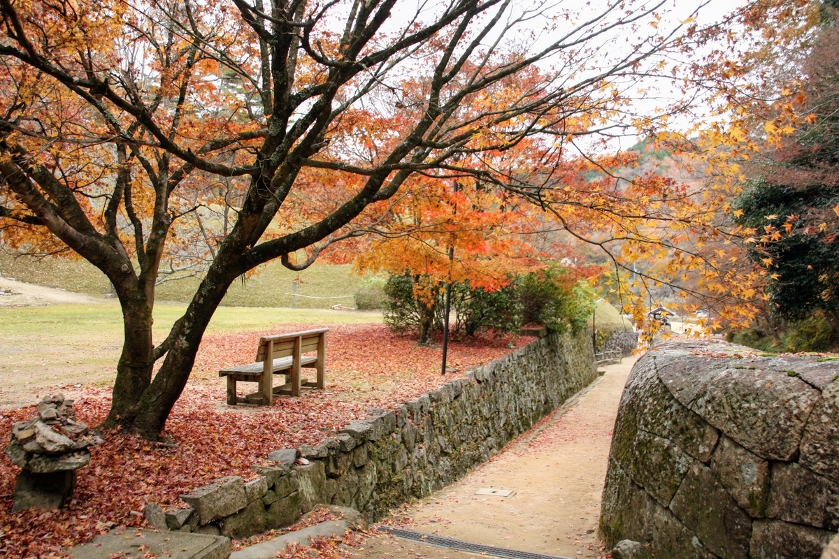 f:id:kibi6:20200613024840j:plain f:id:kibi6:20200613024840j:plain