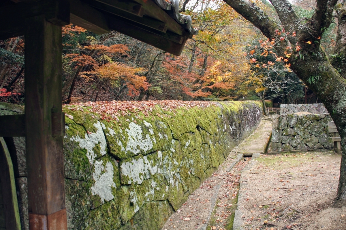 f:id:kibi6:20200613025115j:plain f:id:kibi6:20200613025115j:plain