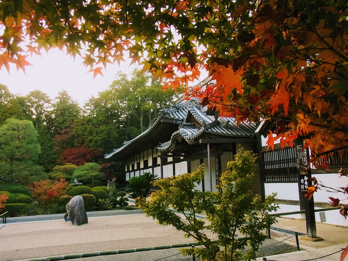 f:id:kibi6:20200613171225j:plain f:id:kibi6:20200613171225j:plain