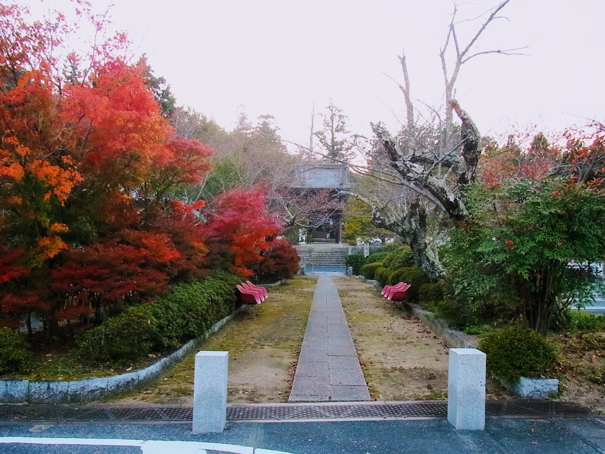 f:id:kibi6:20200613171305j:plain f:id:kibi6:20200613171305j:plain