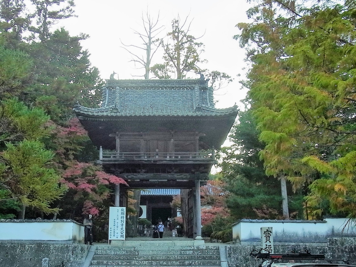 f:id:kibi6:20200613171330j:plain f:id:kibi6:20200613171330j:plain