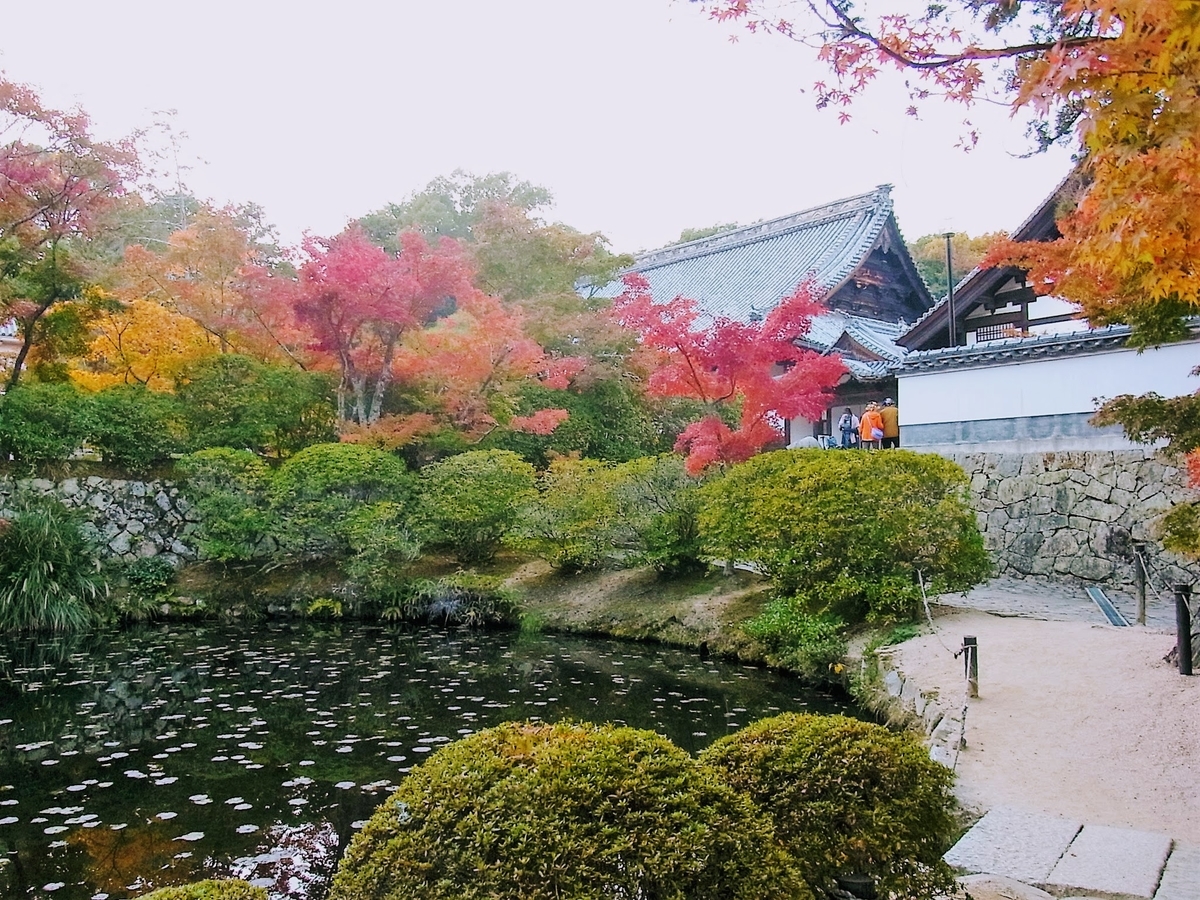 f:id:kibi6:20200613171725j:plain f:id:kibi6:20200613171725j:plain