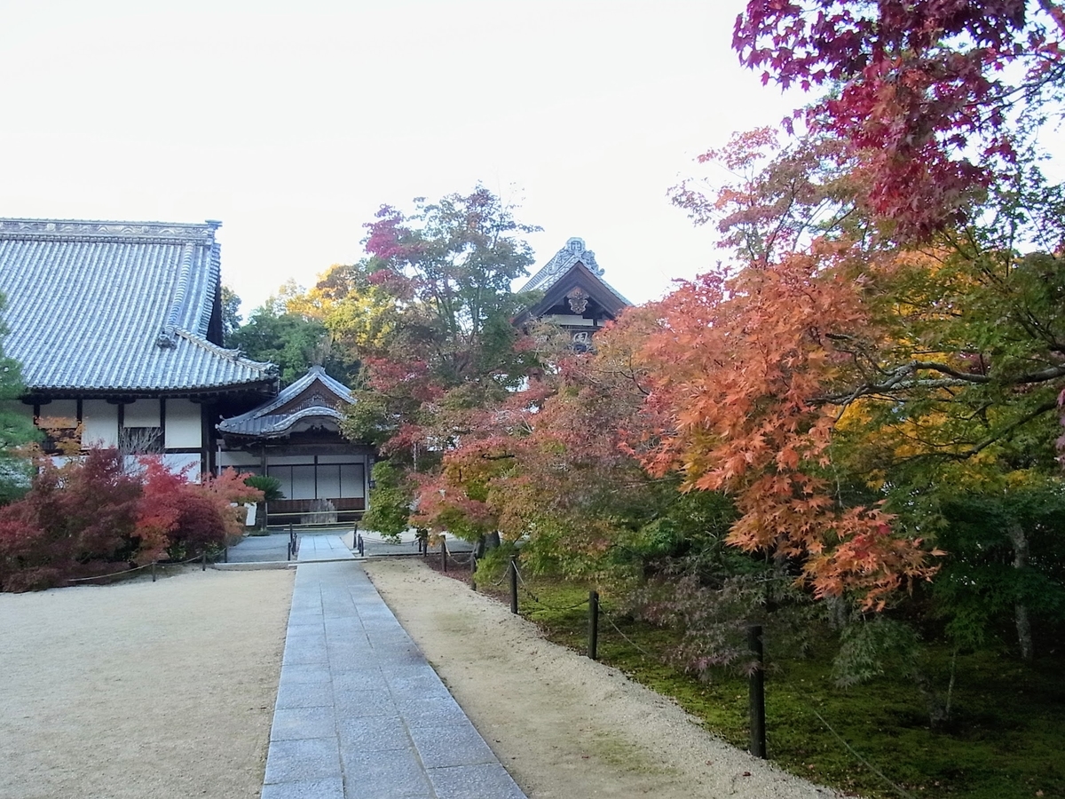 f:id:kibi6:20200613171812j:plain f:id:kibi6:20200613171812j:plain