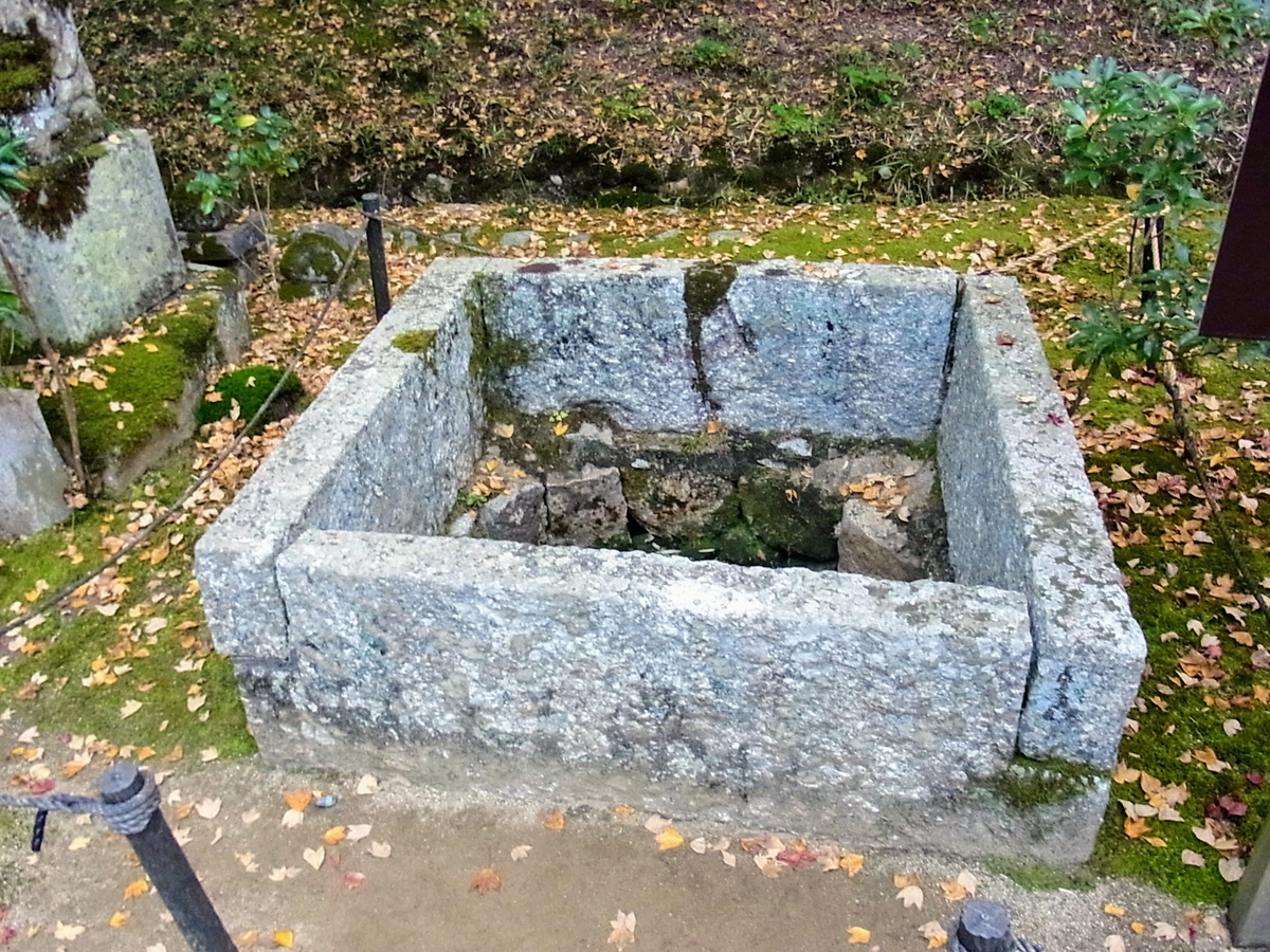 f:id:kibi6:20200613172225j:plain f:id:kibi6:20200613172225j:plain