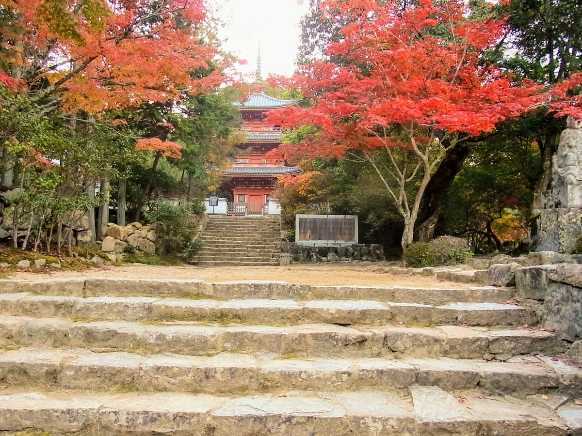 f:id:kibi6:20200613172306j:plain f:id:kibi6:20200613172306j:plain