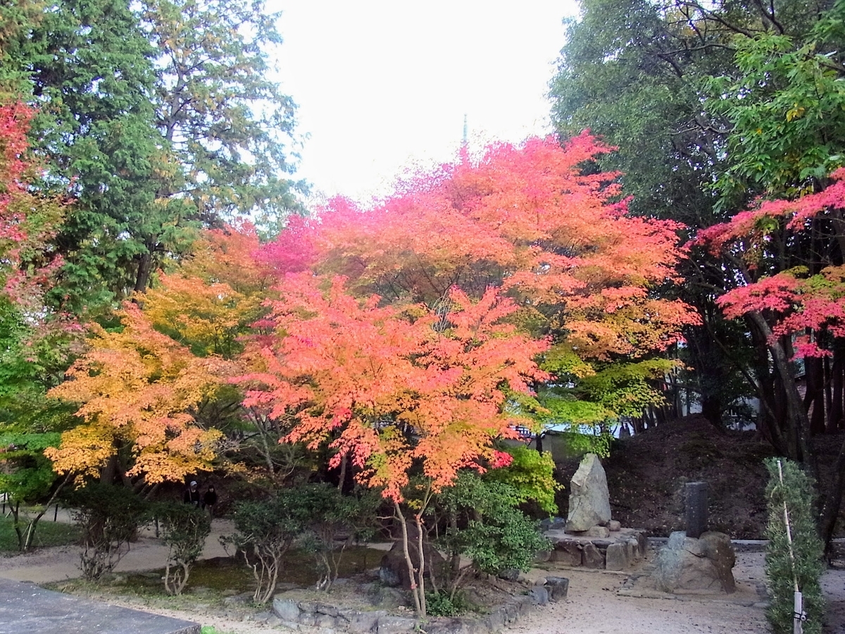 f:id:kibi6:20200613172703j:plain f:id:kibi6:20200613172703j:plain