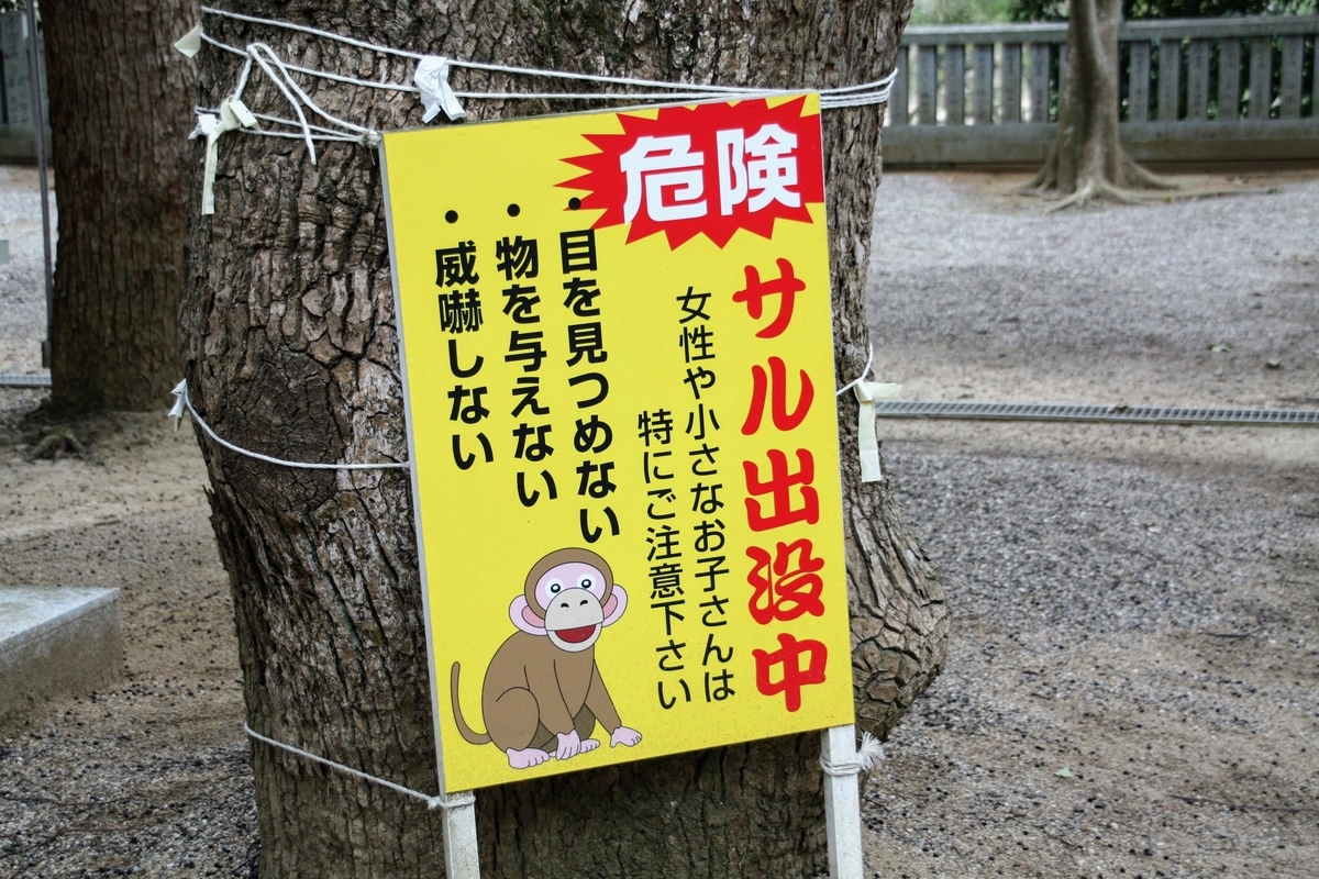 f:id:kibi6:20200614210905j:plain