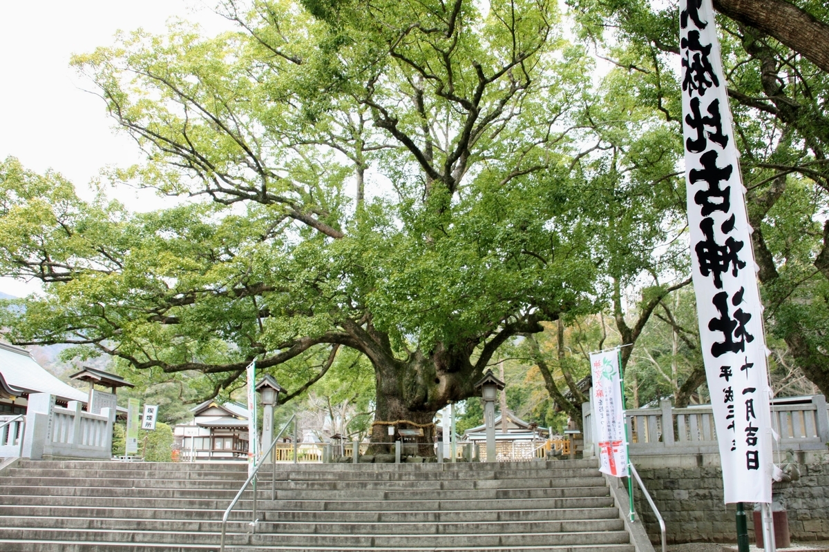 f:id:kibi6:20200614211042j:plain