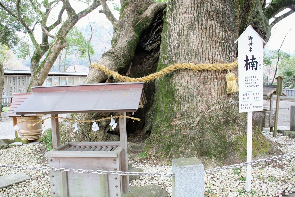 f:id:kibi6:20200614211112j:plain