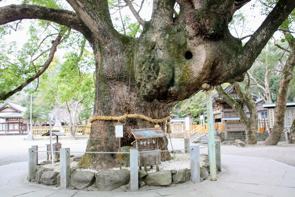 f:id:kibi6:20200614211139j:plain