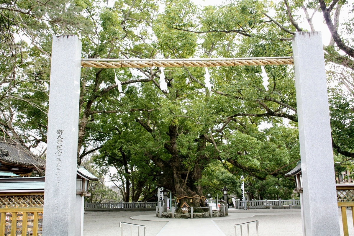 f:id:kibi6:20200614211313j:plain