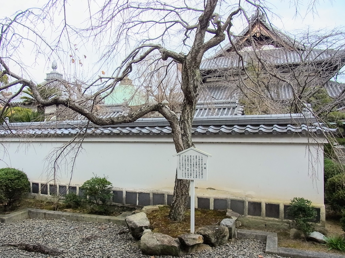 f:id:kibi6:20200614212455j:plain