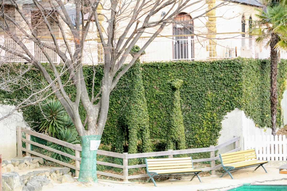 f:id:kibi6:20200615011743j:plain f:id:kibi6:20200615011743j:plain