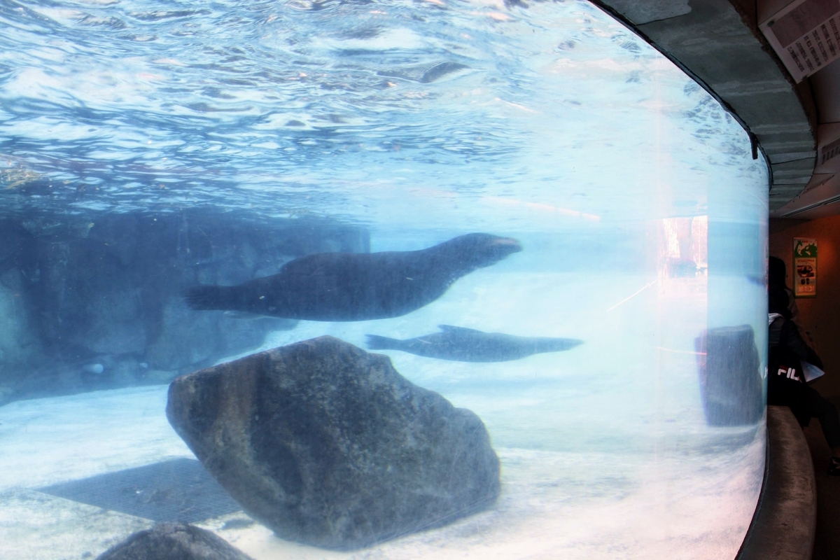 f:id:kibi6:20200615011922j:plain f:id:kibi6:20200615011922j:plain