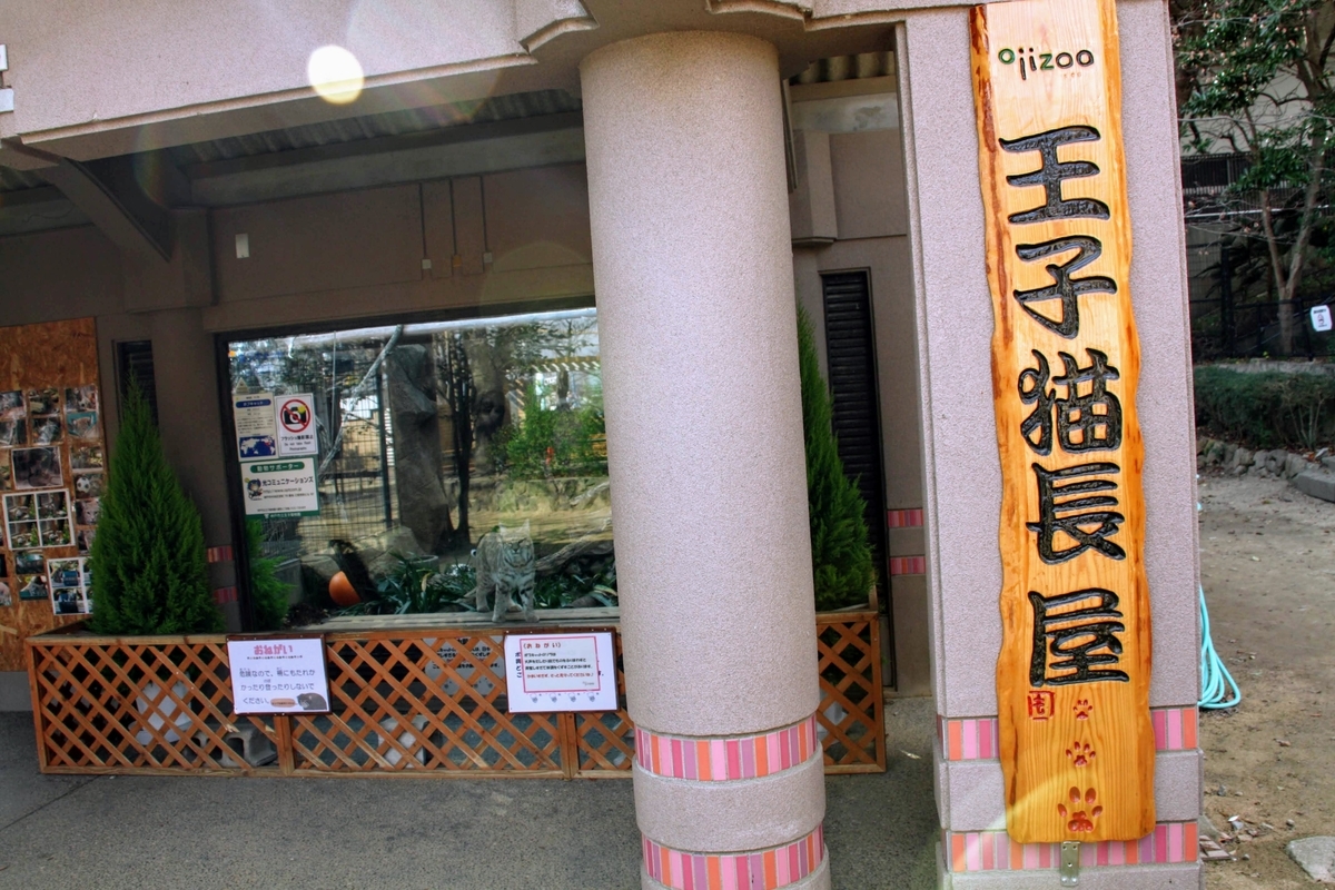 f:id:kibi6:20200615012312j:plain f:id:kibi6:20200615012312j:plain