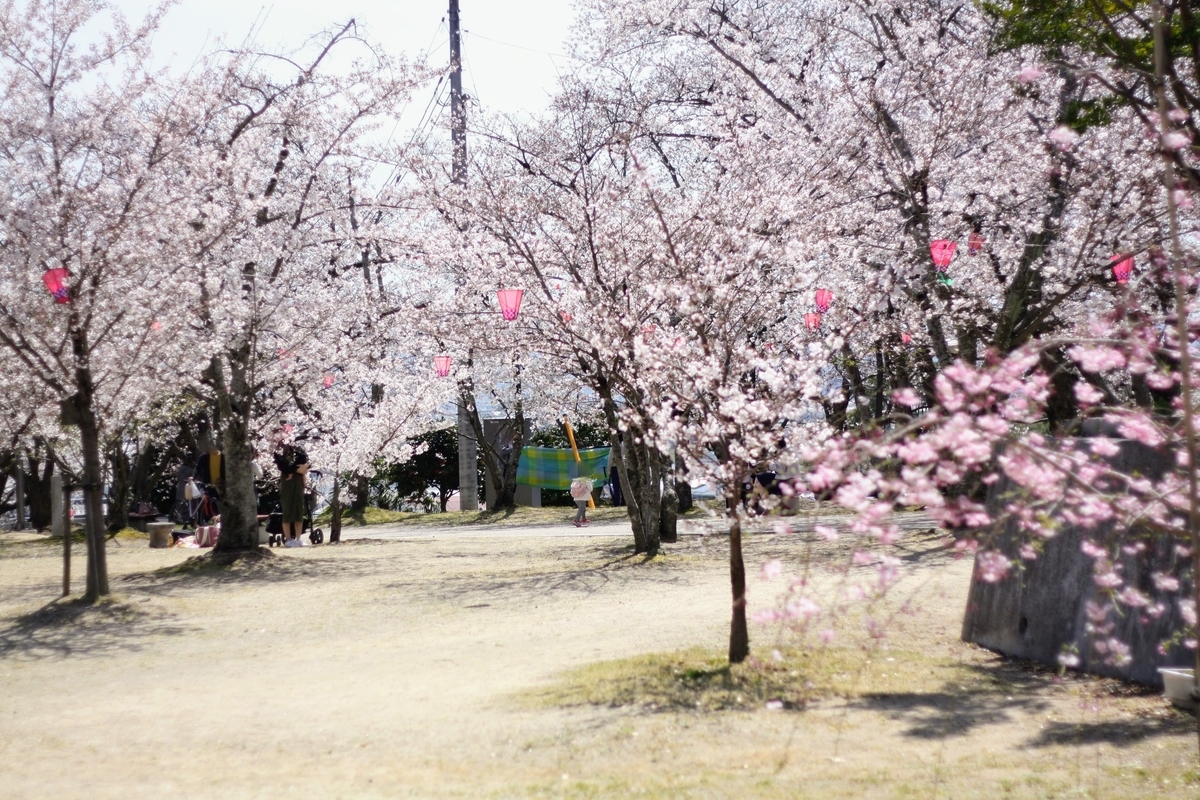 f:id:kibi6:20200615100108j:plain