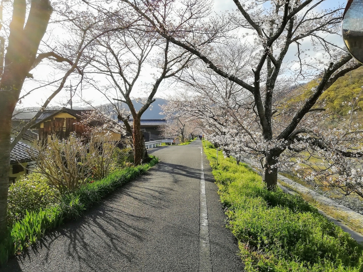 f:id:kibi6:20200615231016j:plain