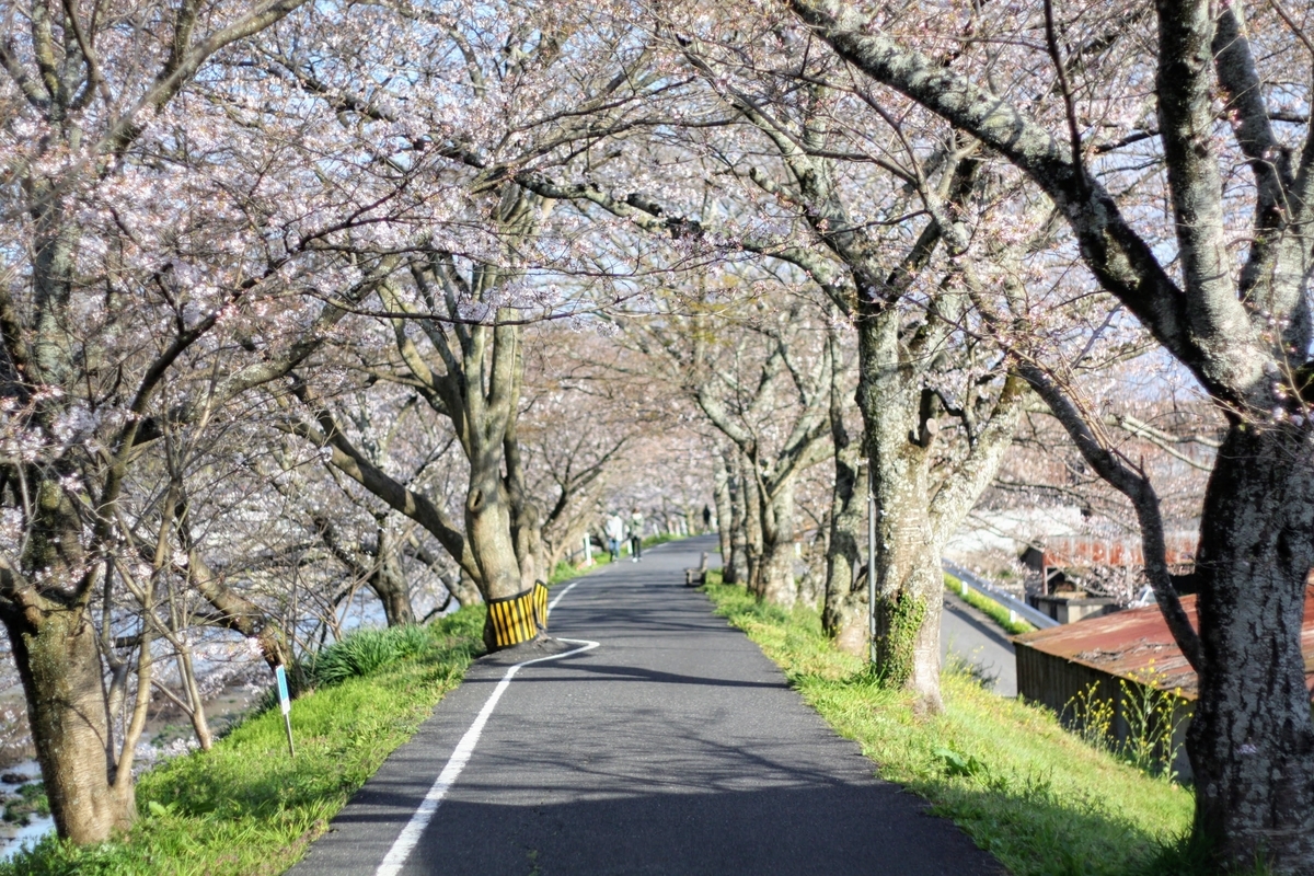 f:id:kibi6:20200615231322j:plain