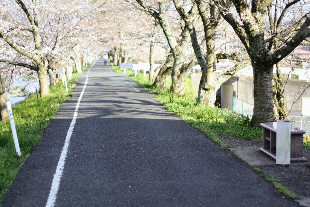 f:id:kibi6:20200615231402j:plain